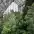 fomin botanical garden 5