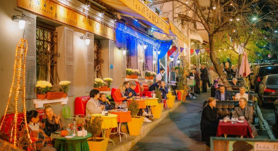 Très FRANÇAIS - charming outdoor terrace with seating decorated with potted plants