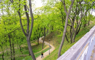 A walking path in Volodymyrska Hirka Park, surrounded by trees and a slope