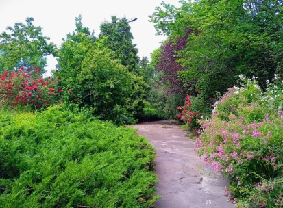 Syretskyi Arboretum