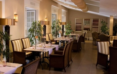 Hotel Opera – an elegant restaurant with gourmet cuisine, decorated with plants