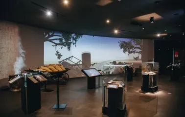Exhibition at the National Museum of the Holodomor-Genocide with multimedia screens and display cases