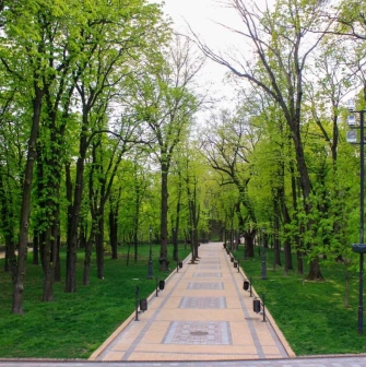 A path among the trees in Volodymyrska Hirka Park in Kyiv
