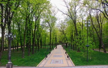 A path among the trees in Volodymyrska Hirka Park in Kyiv