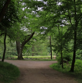 Park Partyzanskoi Slavy in Kyiv - peaceful unpaved trail winding through the lush green deciduous forest
