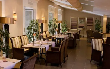 Hotel Opera – an elegant restaurant with gourmet cuisine, decorated with plants