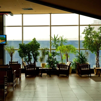 Interior of the waiting area near large windows with potted plants