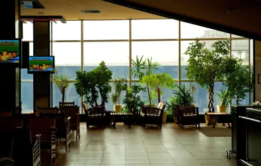 Interior of the waiting area near large windows with potted plants
