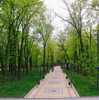 A path among the trees in Volodymyrska Hirka Park in Kyiv