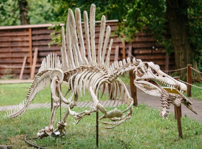 Dinopark