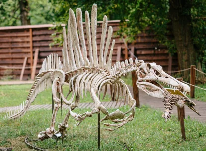 Dinopark