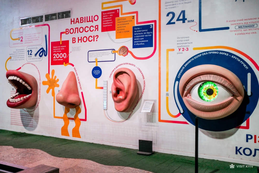 Educational displays about human senses at the Science Museum on VDNG in Kyiv