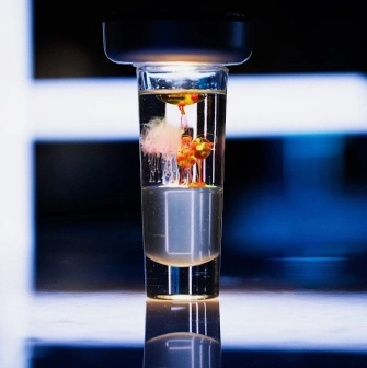 Sansara - refreshing cocktail served in a tall glass with ice and a garnish