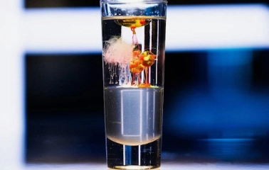 Sansara - refreshing cocktail served in a tall glass with ice and a garnish