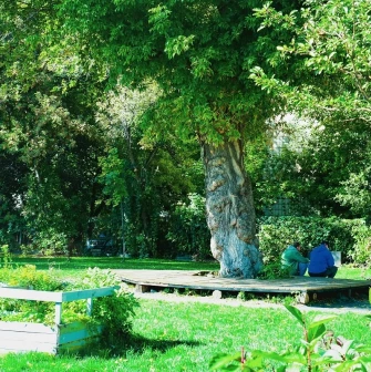 Samosad in Kyiv - peaceful nature scene featuring a large textured tree trunk and a wooden deck where visitors relax surrounded by vibrant greenery