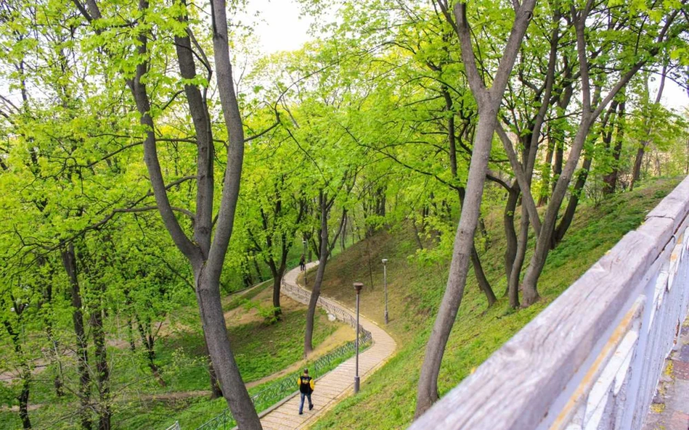 A walking path in Volodymyrska Hirka Park, surrounded by trees and a slope