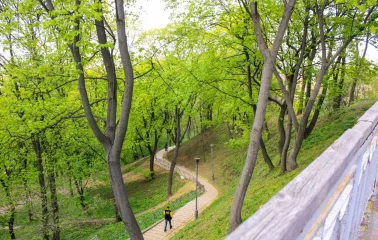 A walking path in Volodymyrska Hirka Park, surrounded by trees and a slope