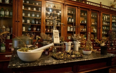 harmacy Museum in Kyiv - vintage pharmaceutical still life featuring dried herbs in a mortar, scales, and rows of glass medicine jars in an old wooden cabinet
