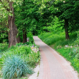 Park Kyn-Grust - paved walking path winding through lush greenery and large old trees