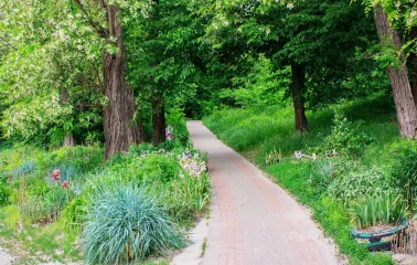 Park Kyn-Grust - paved walking path winding through lush greenery and large old trees