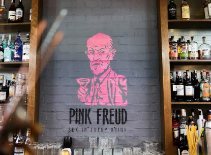 Pink Freud