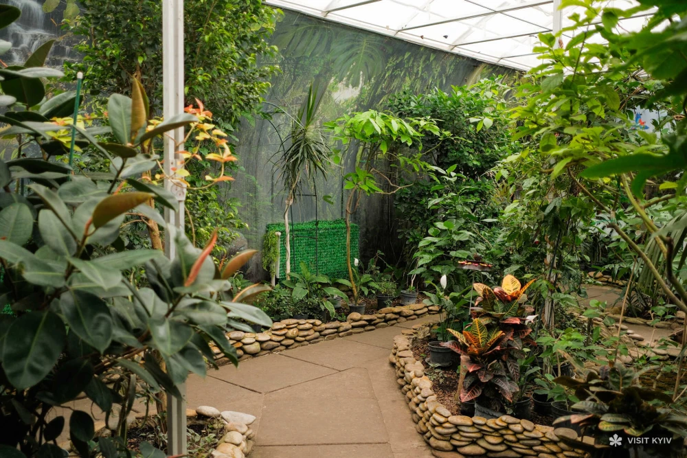 A lush garden path inside the greenhouse with tropical plants and stone edges