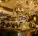 Bar area with decor in the Fish & Pussycat restaurant in Kyiv