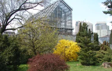 Spring trees and glass greenhouse at the Fomin Botanical Garden in Kyiv