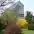fomin botanical garden 2
