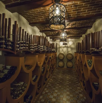 Park hotel Holosievo - wine cellar