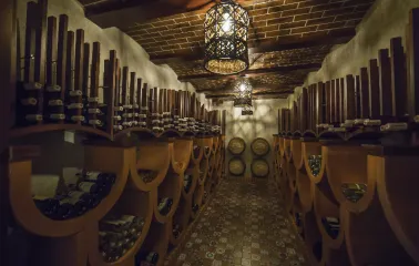 Park hotel Holosievo - wine cellar
