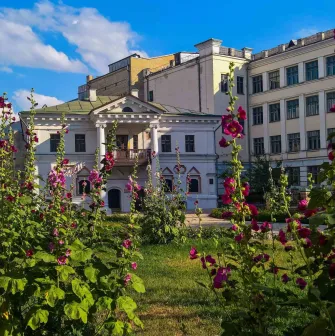 Muzei Hetmanstva in Kyiv - picturesque view of the museum building framed by tall blooming purple hollyhocks in the lush summer garden