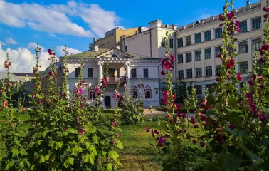 Muzei Hetmanstva in Kyiv - picturesque view of the museum building framed by tall blooming purple hollyhocks in the lush summer garden