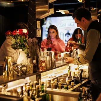 Hendricks Bar - dark interior, bar counter