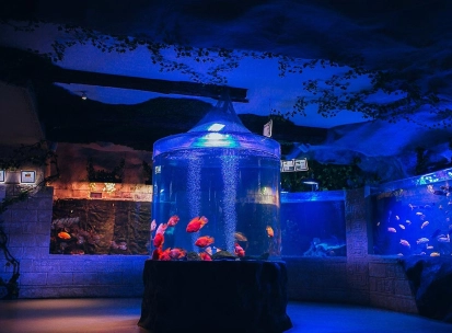 Okeanarium Morska Kazka in Kyiv - large aquarium filled with bright red fish standing in the middle of the hall