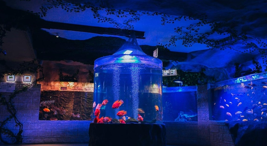 Okeanarium Morska Kazka in Kyiv - large aquarium filled with bright red fish standing in the middle of the hall