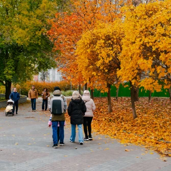 Landscape Alley in Kyiv - bright autumn alley with colorful foliage