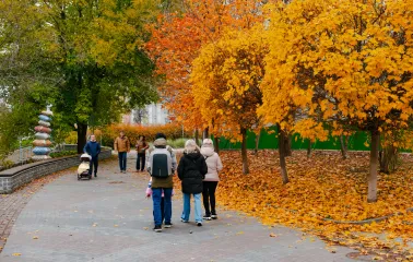 Landscape Alley in Kyiv - bright autumn alley with colorful foliage