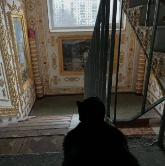 The “Versailles” Stairwell - a cat on the steps of a porch decorated like a palace