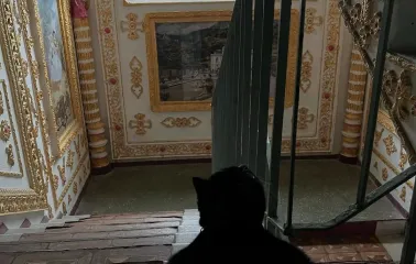The “Versailles” Stairwell - a cat on the steps of a porch decorated like a palace