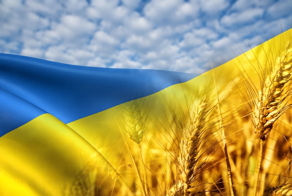 The blue-yellow flag of Ukraine overlaid on a wheat field