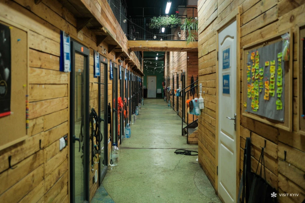 Corridor with wooden boxes for keeping animals at the Patron Pet Center shelter at VDNH in Kyiv