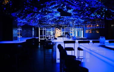 Sansara - sleek modern bar counter featuring decorative lighting and various bottles