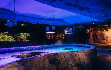 Okeanarium Morska Kazka in Kyiv - open stone pool with stingrays swimming under water