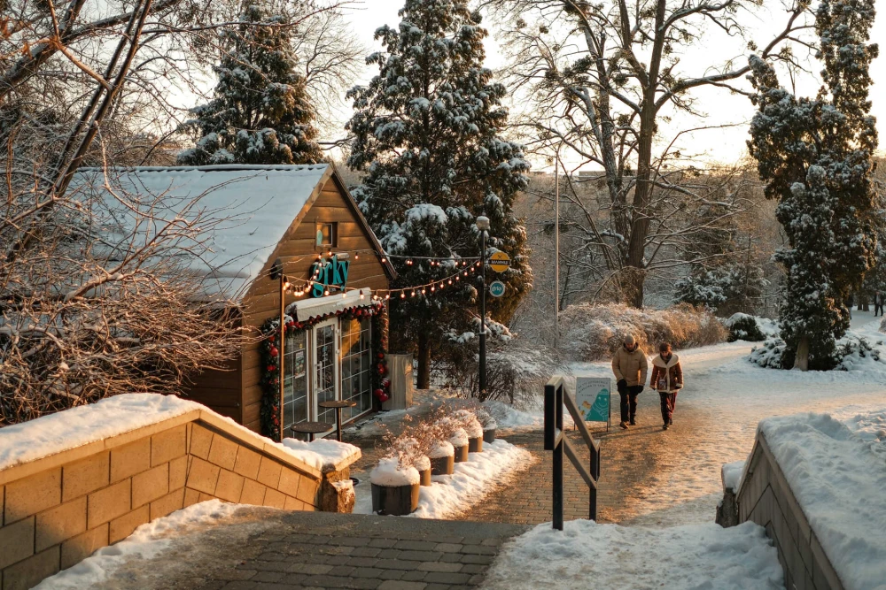 Coffee kiosk with festive lightsin Fomin Botanical Garden in Kyiv