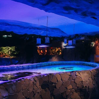 Okeanarium Morska Kazka in Kyiv - open stone pool with stingrays swimming under water