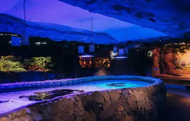 Okeanarium Morska Kazka in Kyiv - open stone pool with stingrays swimming under water