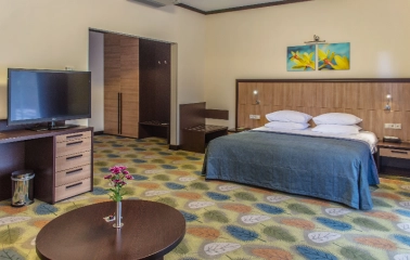 Double room at Park Hotel Holosiivskyi in Kyiv