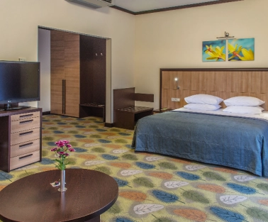 Double room at Park Hotel Holosiivskyi in Kyiv