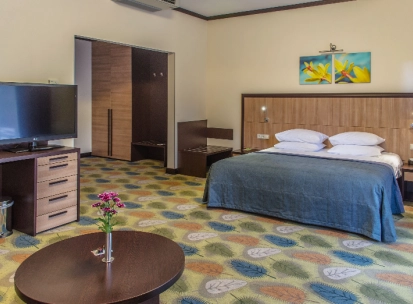 Double room at Park Hotel Holosiivskyi in Kyiv